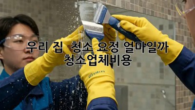 우리 집 ✨ 청소 요정🧚‍♀️ 얼마일까? #청소업체비용